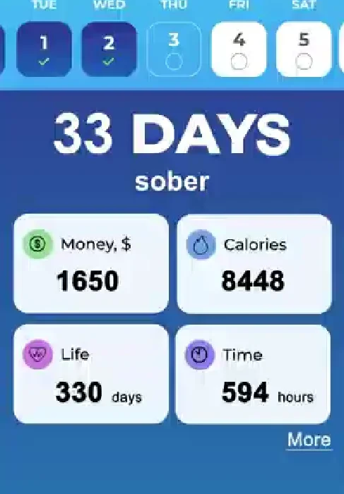The Script I’m Sober App tutorial - The Script Im Sober App tutorial