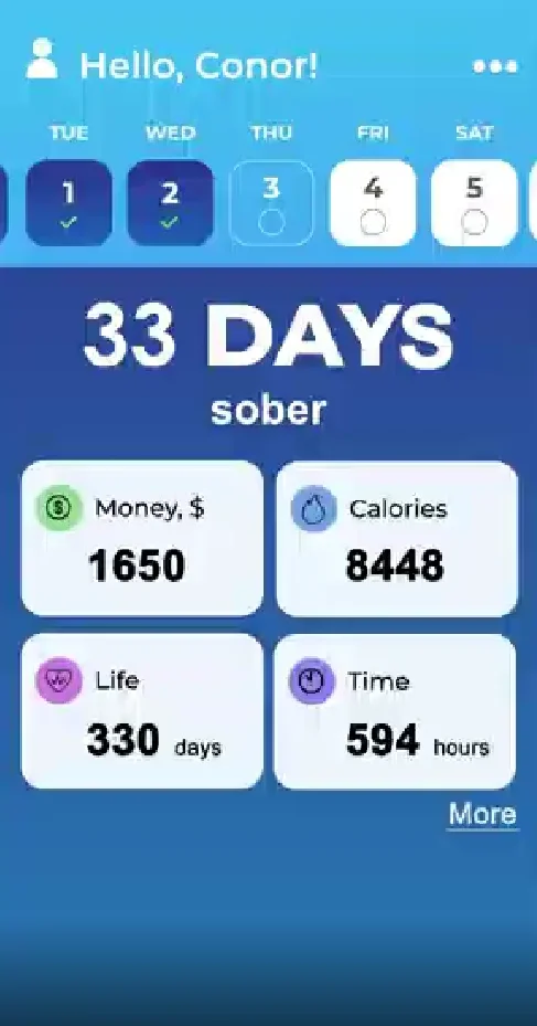 The Script I’m Sober App tutorial - The Script Im Sober App tutorial